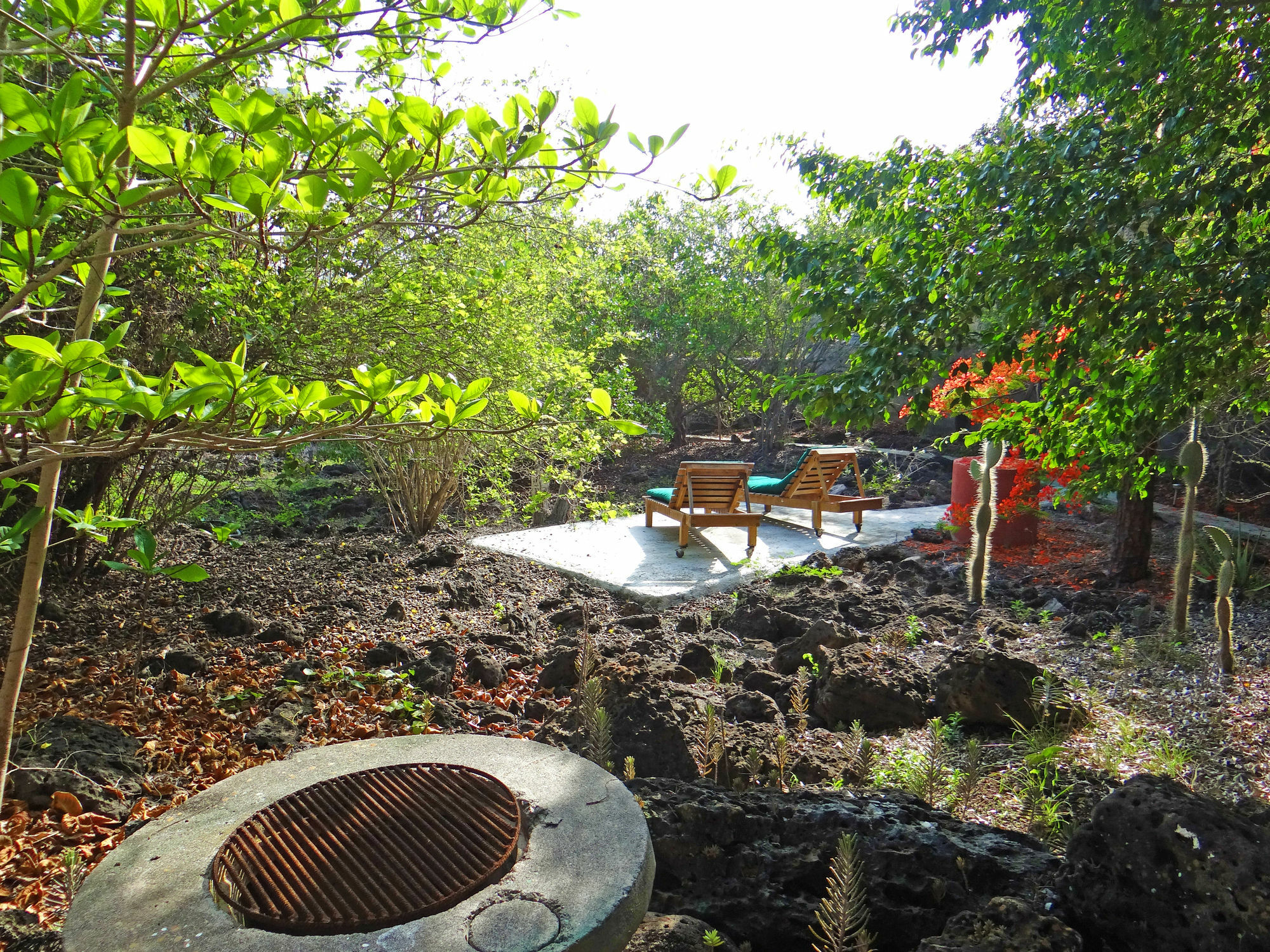 Galapagos Chalet プエルトアヨラ エクステリア 写真