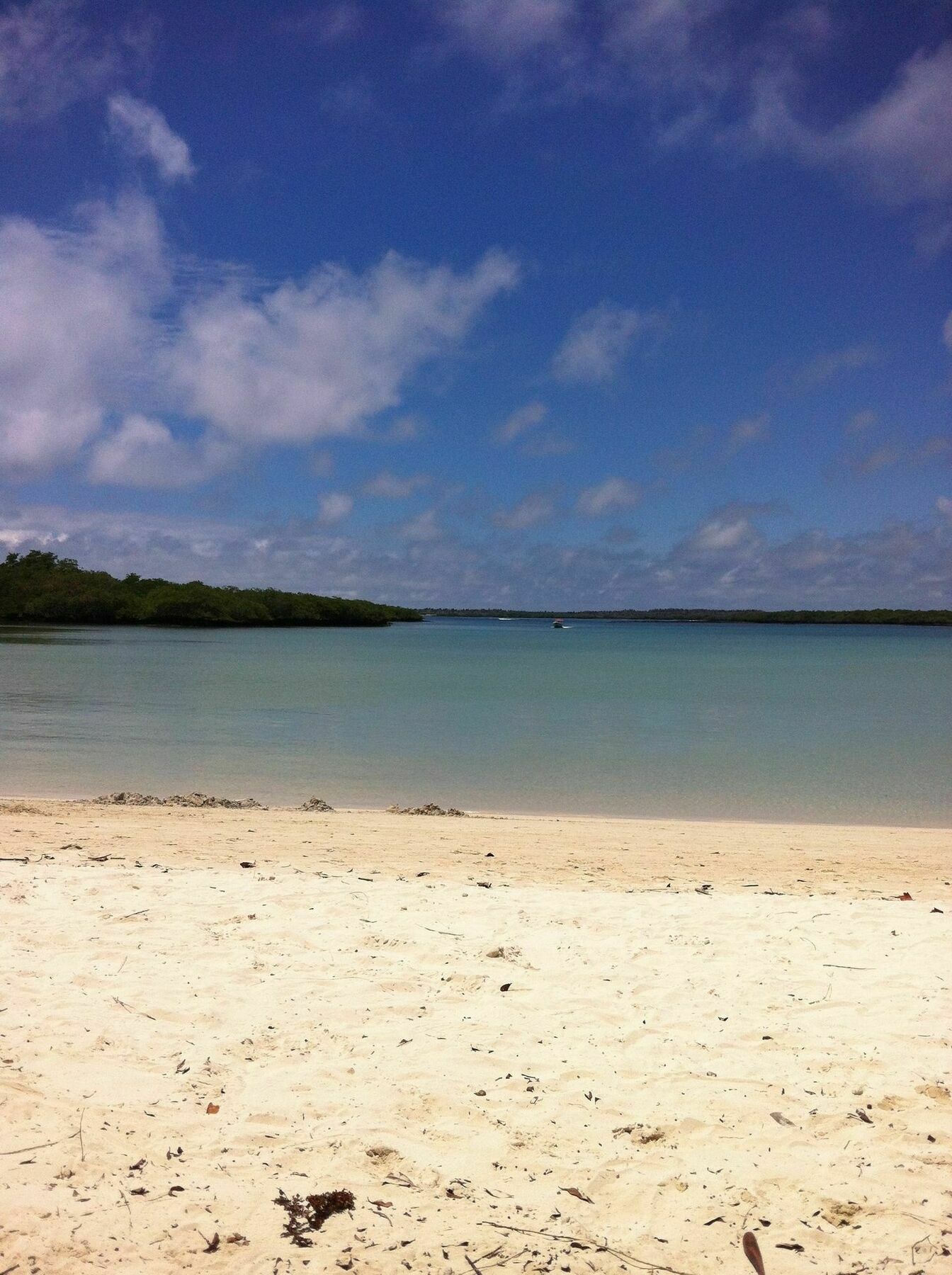Galapagos Chalet プエルトアヨラ エクステリア 写真